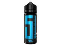 https://www.innocigs.com/media/9c/84/dd/1698666925/5el-berry-mint-10ml-1000x750.png